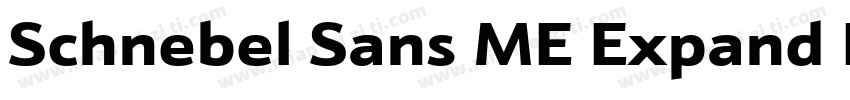 Schnebel Sans ME Expand Black Itali字体转换